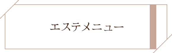 エステメニュー